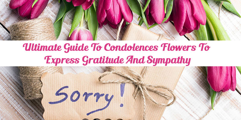 Ultimate Guide to Condolences Flowers To Express Gratitude And Sympathy